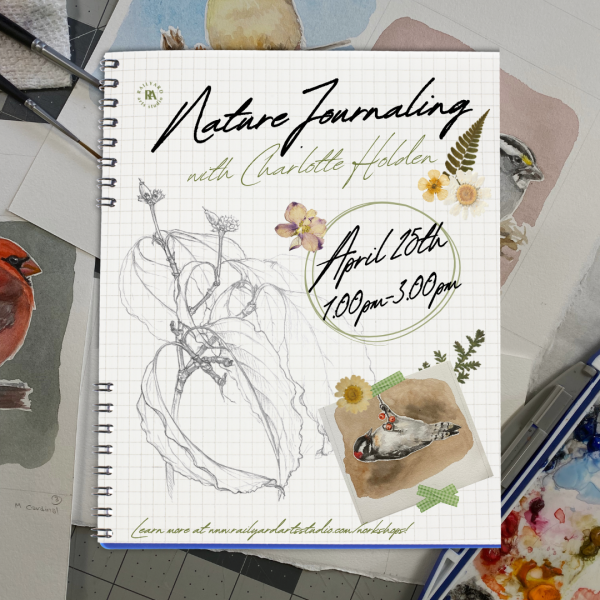 Nature Journaling: Using Composition & Color To Make Sense Of Our World