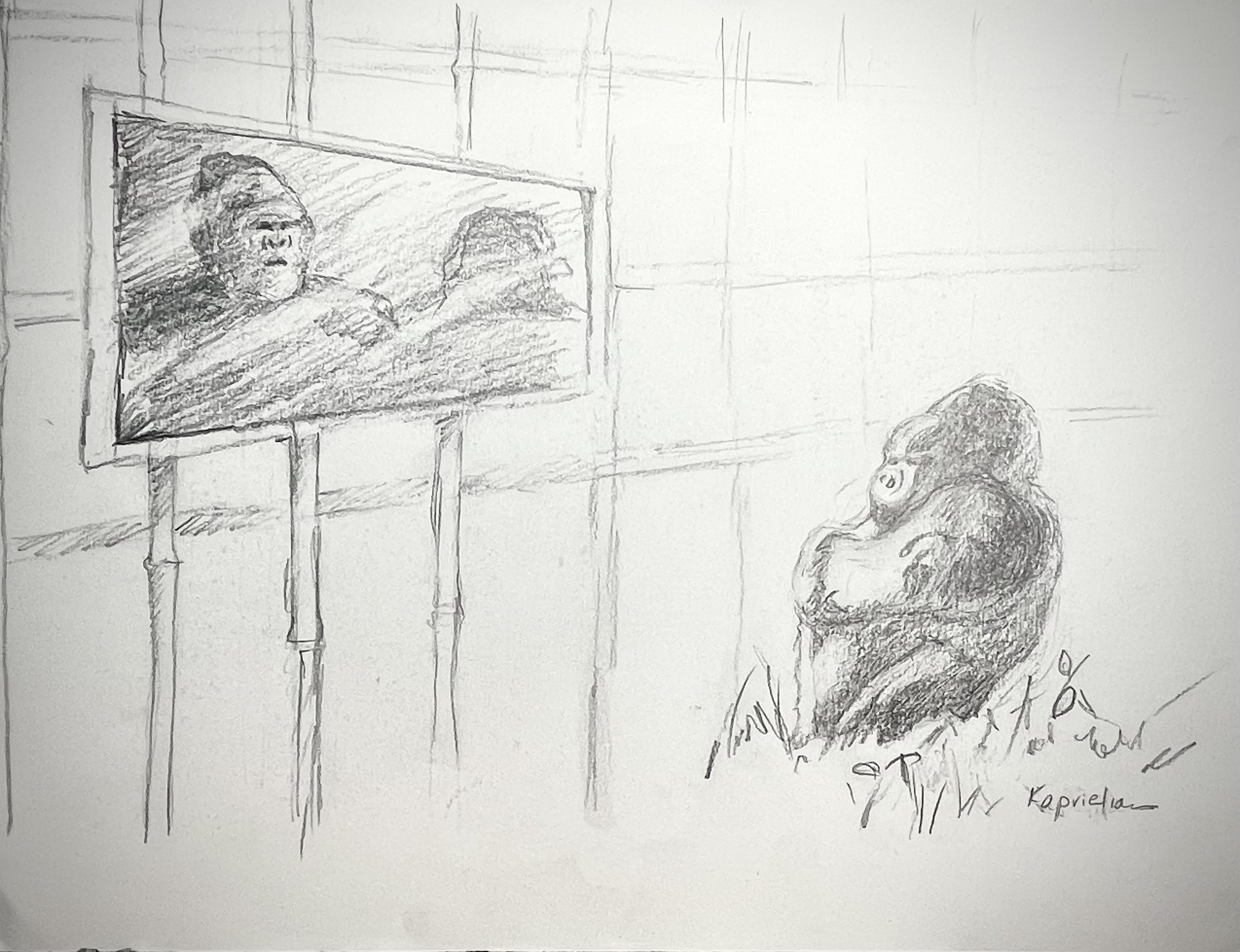 Wednesday Drawing From Imagination - Fall 1 2026 - Image 2